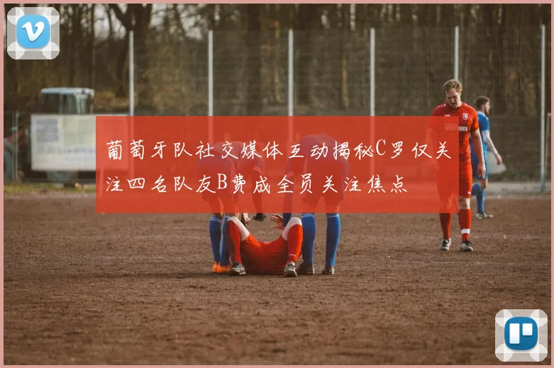 葡萄牙队社交媒体互动揭秘C罗仅关注四名队友B费成全员关注焦点